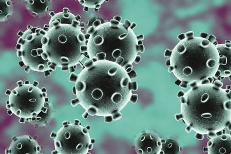 Coronavirus molecular
