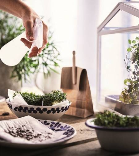 Jardinería en casa