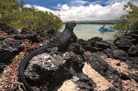 Galápagos