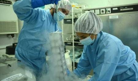 Centro de Ingeniería Genética y Biotecnología