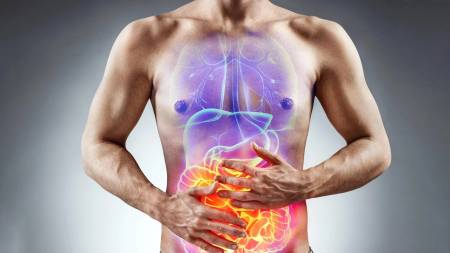 El intestino y la memoria de las patologías